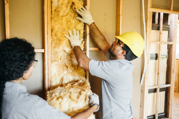Best Home Insulation Services  in Saint Davids, PA