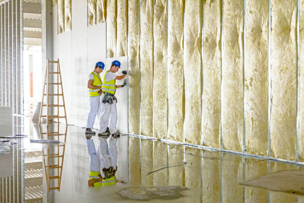 Best Insulation Replacement Services  in Saint Davids, PA